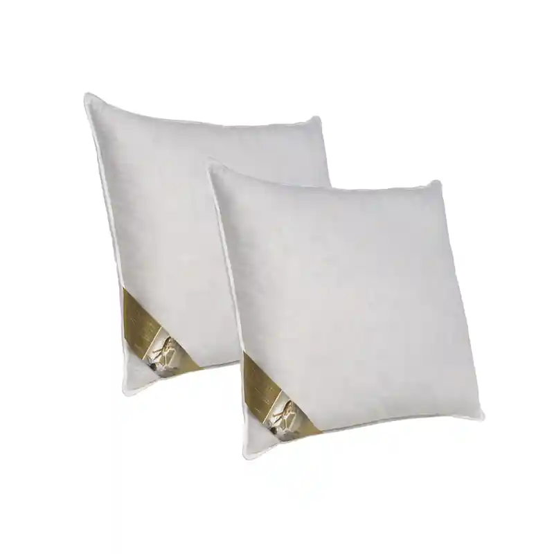 Premium Ten Cate 3-Kamer Ganzendonzen Hoofdkussen 60x70 cm - 2 stuks