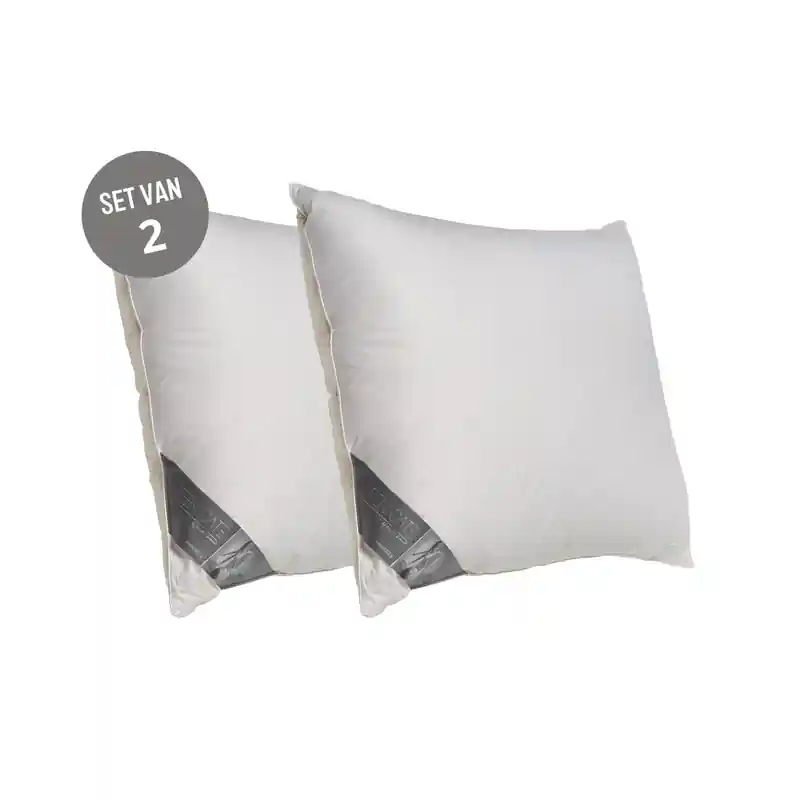 Geld-Terug-Garantie Ten Cate Double Face Eendendonzen Hoofdkussen 60x70 cm